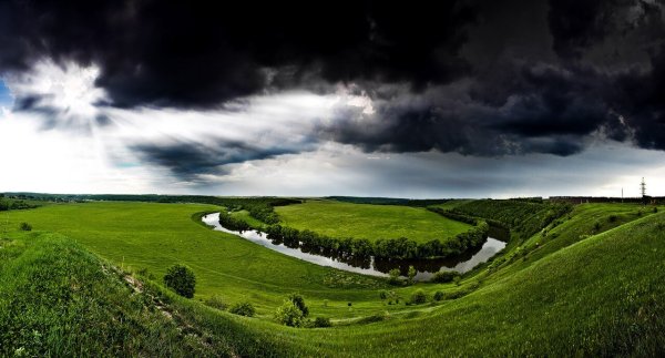 Мещерский Дендрарий Липецкая область