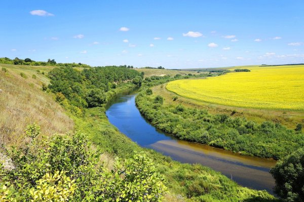 Черепянь Липецкая область