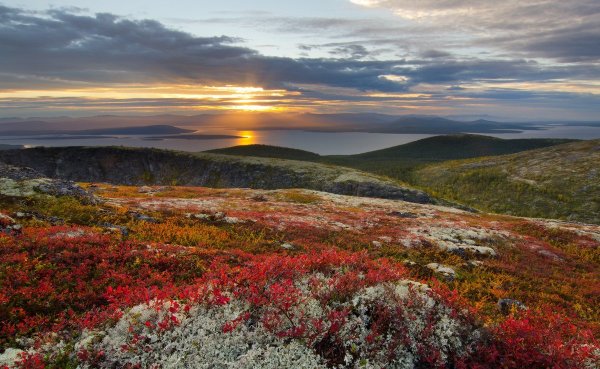 Лапландский заповедник Кольский полуостров