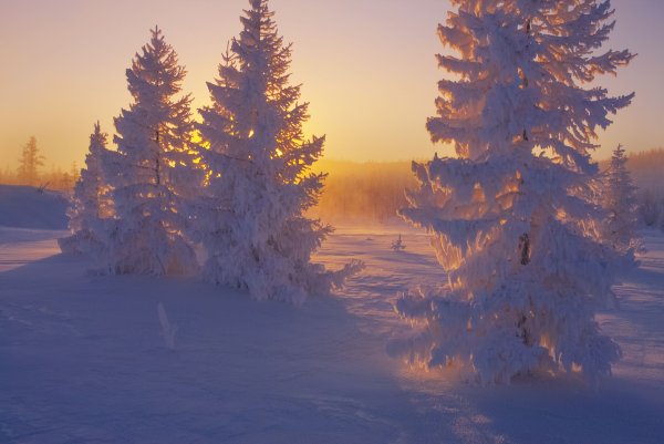 Природа Сибири зимой