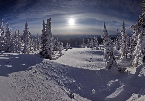 Природа Сибири зимой