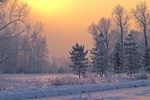 Природа Сибири зимой