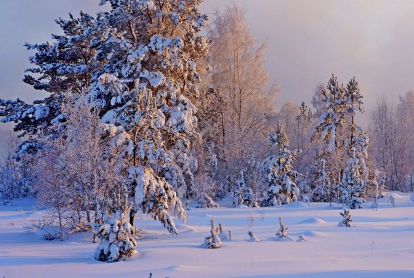 Зима в Сибири