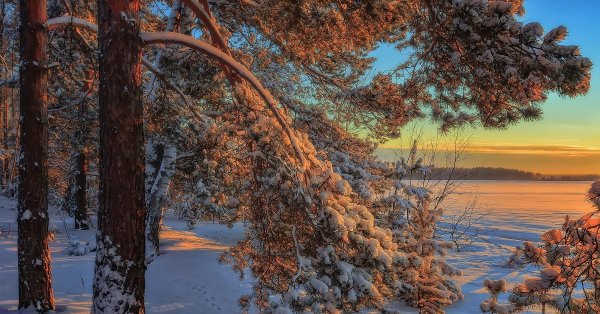 Зимний пейзаж Сибирь