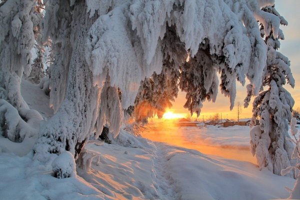 Природа Сибири зима