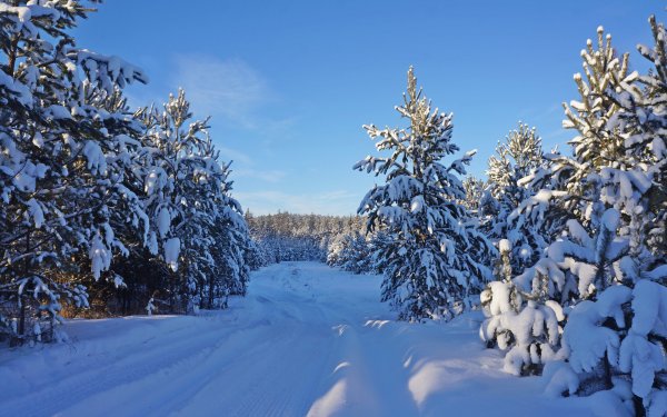 Природа Сибири зимой