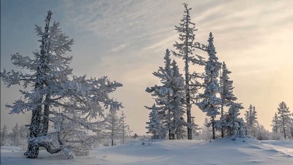 Зимний пейзаж Западной Сибири