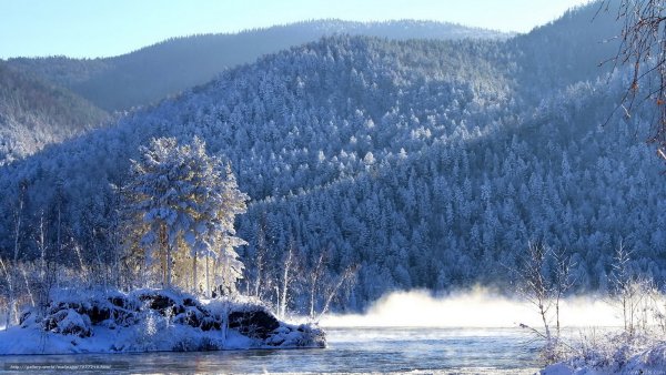 Природа Сибири