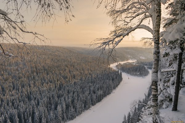 Пермский край Тайга климат
