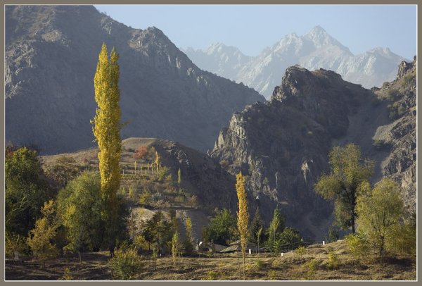 Горный мастчох Таджикистан