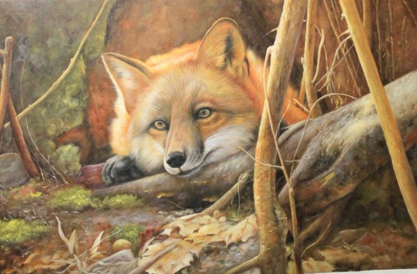 Кошки Генриетты Роннер-Книп