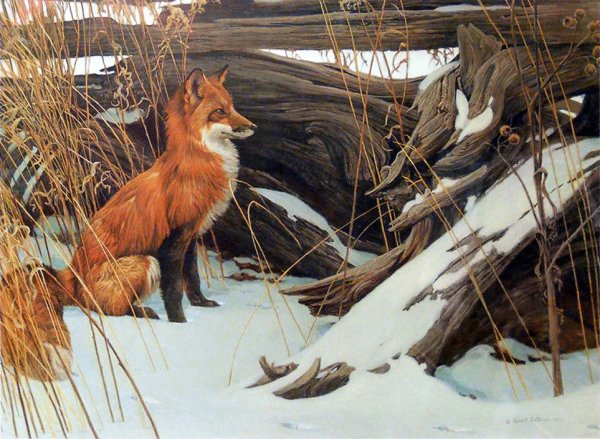 Художник rien Poortvliet