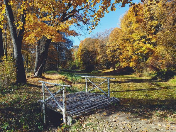 Ясная Поляна Тула осень