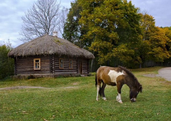 Тула Ясная Поляна пейзажи
