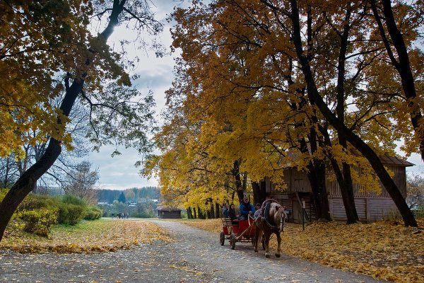 Ясная Поляна Тула Золотая осень