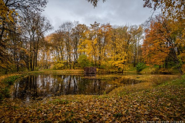 Ясная Поляна осенью
