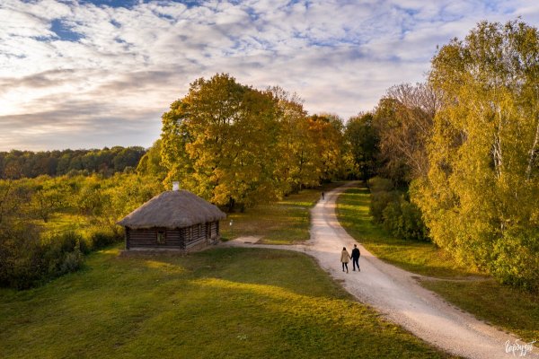 Ясная Поляна Тула природа