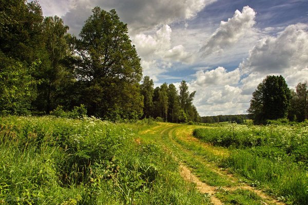 Природа Ясной Поляны