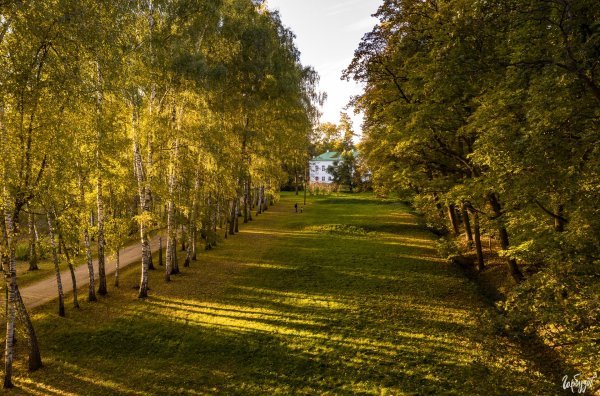 Ясная Поляна Тула осенью