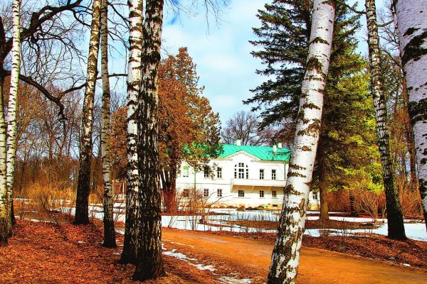 Ясная Поляна Тульская область