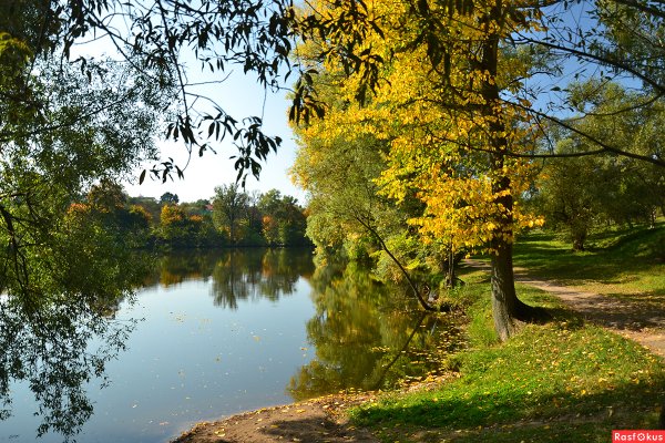 Ясная Поляна Тула природа