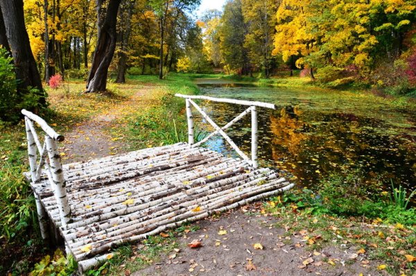 Ясная Поляна Тула осенью