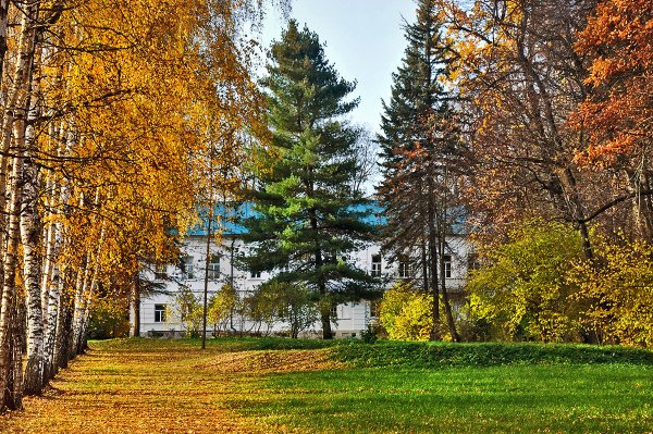 Ясная Поляна Тула осень