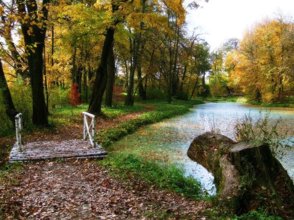 Парк Ясная Поляна Тульская область