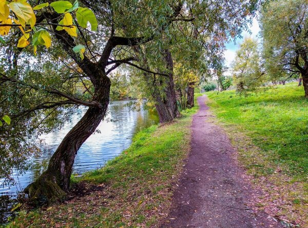 Ясная Поляна река