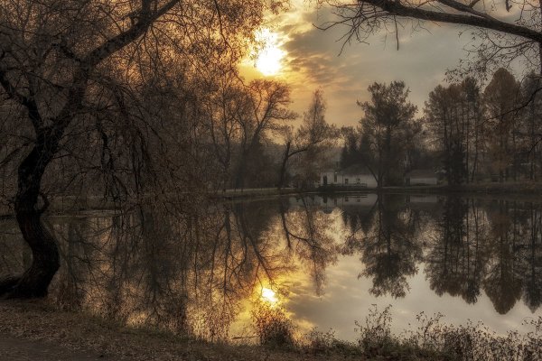 Ясная Поляна ночью