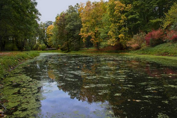Ясная Поляна осень