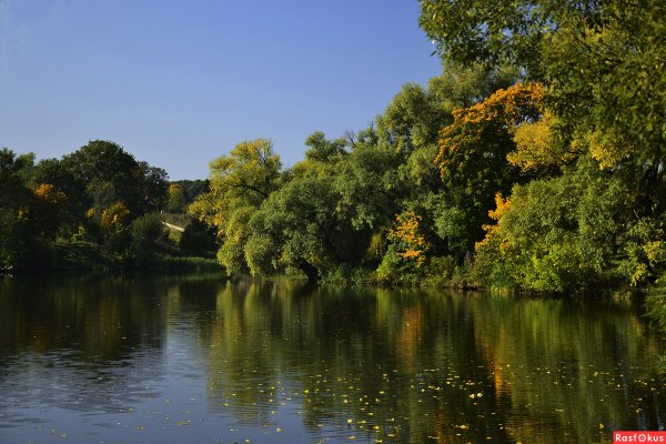 Ясная Поляна большой пруд летом