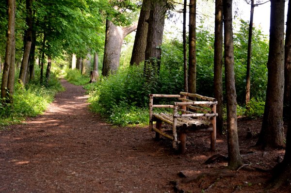 Ясная Поляна лавочка Толстого