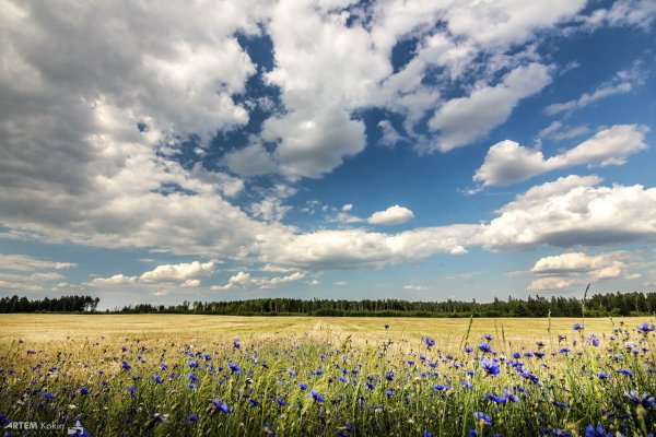 Луг Беларуси