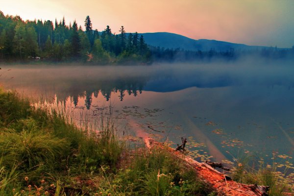 Природа Казачинско-Ленского района Иркутской области