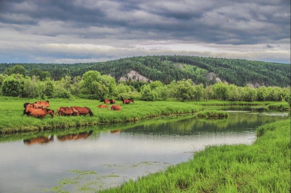 Иркутский район природа