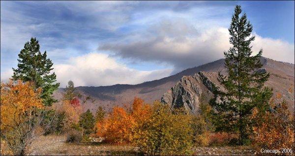 Прибайкальская Тайга