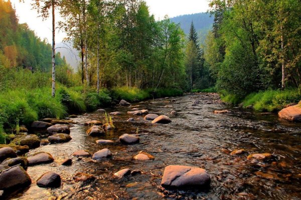 Река Киренга Иркутская