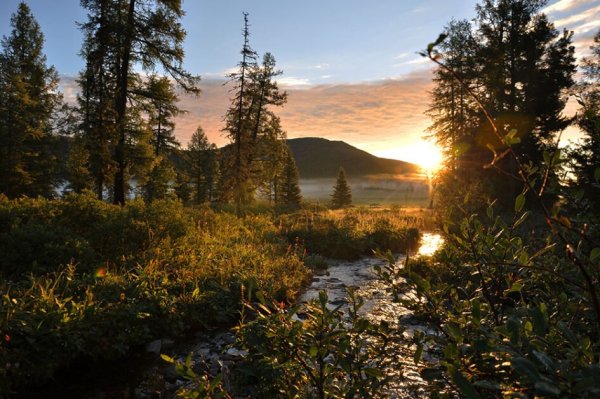 Байкало-Ленский заповедник природа
