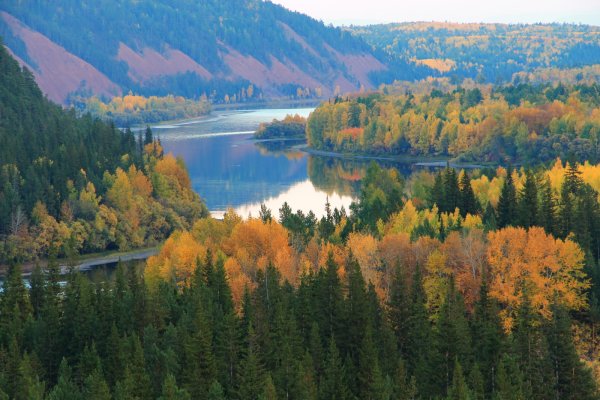 Река Киренга Иркутская