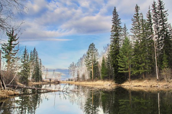 Природа Казачинско-Ленского района