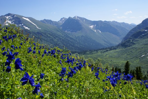 Горы Саяны Иркутская область