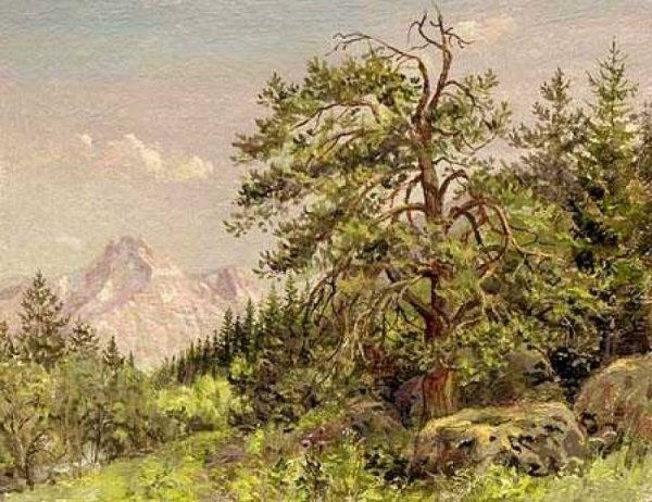 Никонов Владимир Глебович