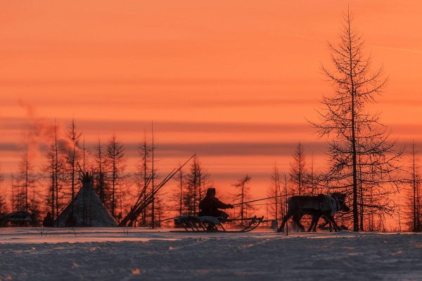 Ямало-Ненецкий автономный округ природа