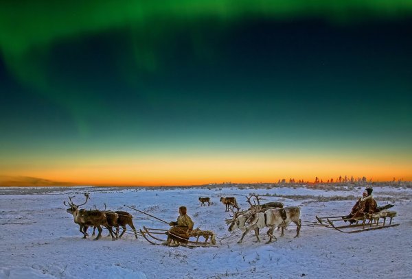 Заполярье Север