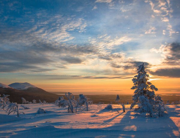 Кандалакша тундра