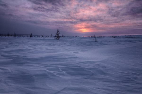 Зимнее безмолвие