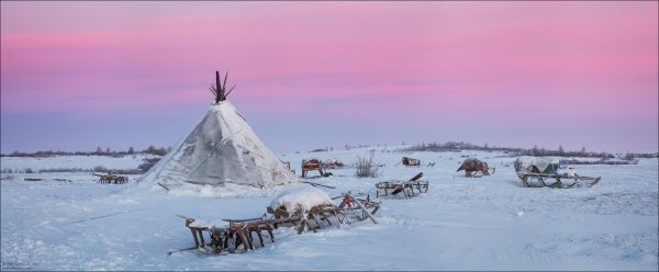 Чум ненцев Ненецкий округ