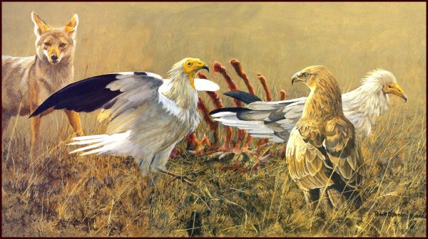 Анималистический Жанр Роберт Бейтман