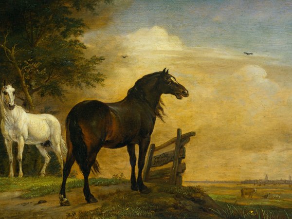 «Кони на лугу» (1649) Паулюс Поттер